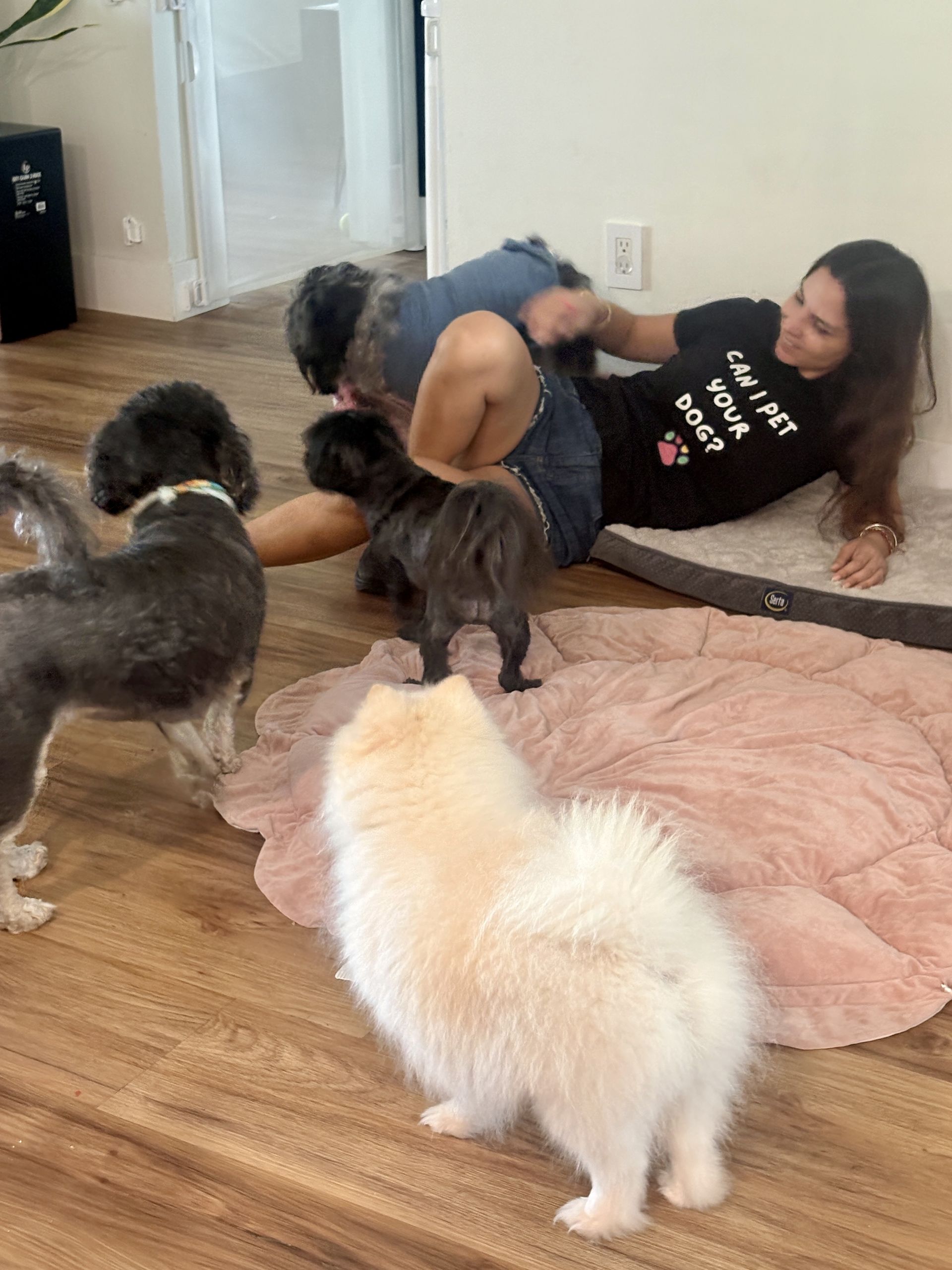 Drop-In Visits | Gi The Dog Sitter