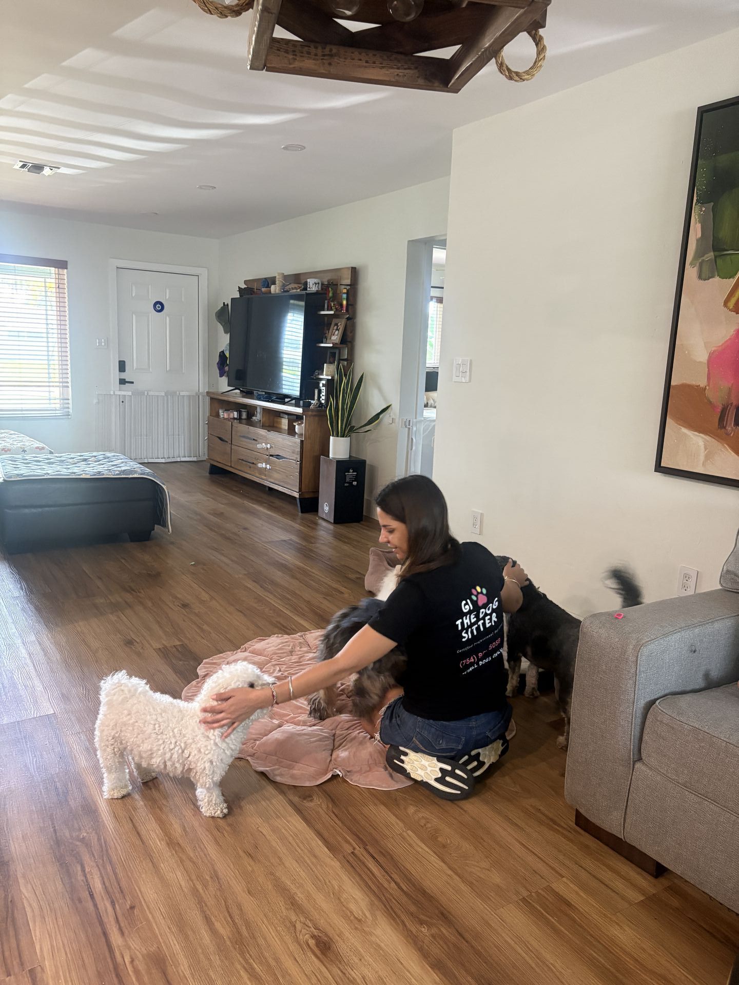 Drop-In Visits