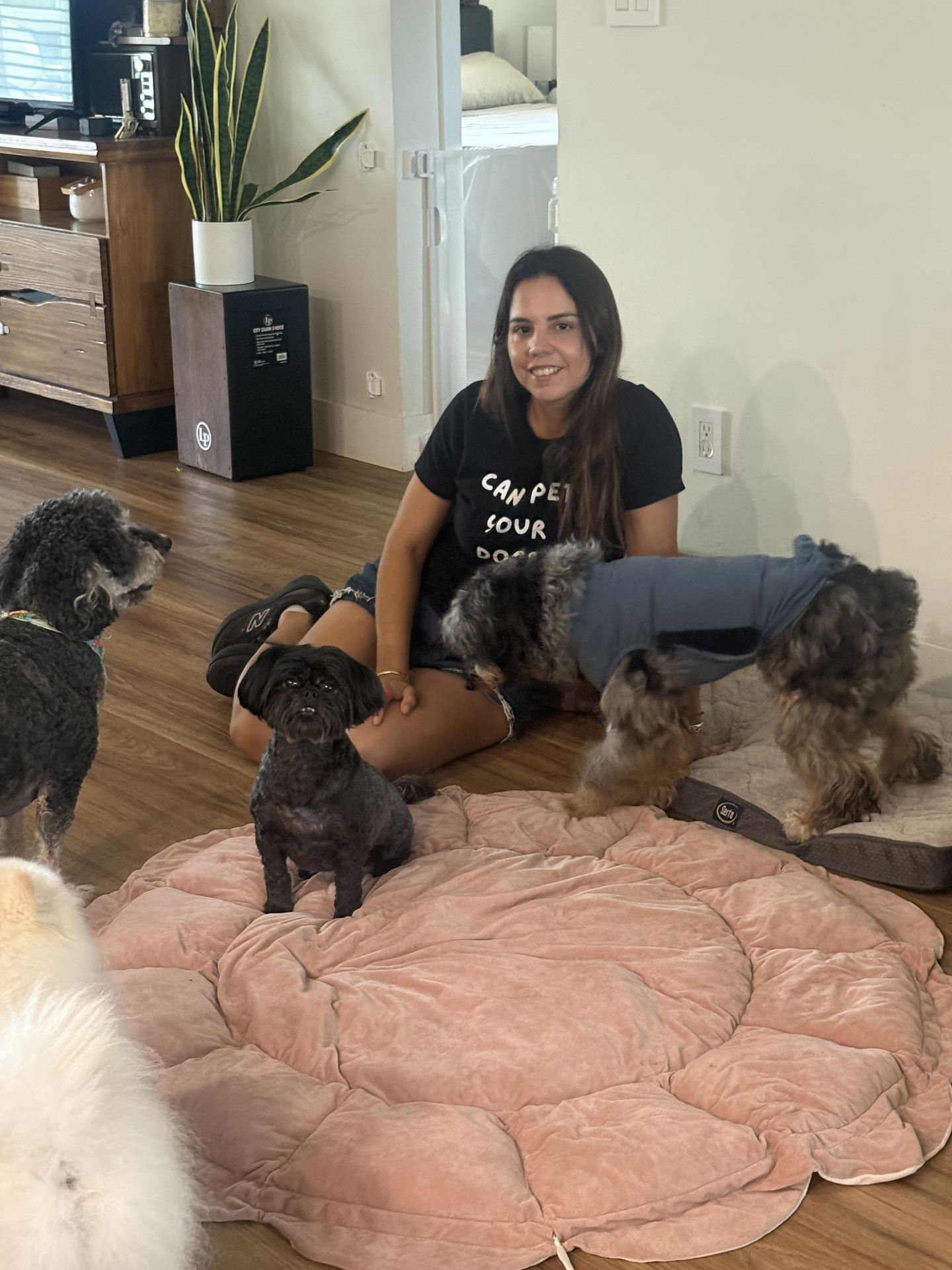 Gi The Dog Sitter | Cooper City, FL