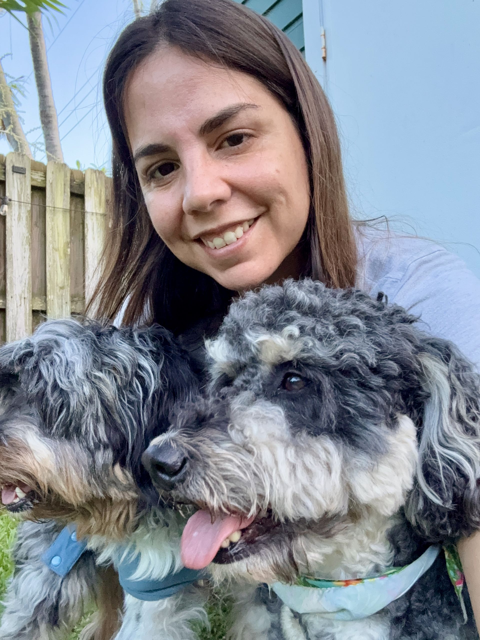 Gi The Dog Sitter | Dania Beach, FL