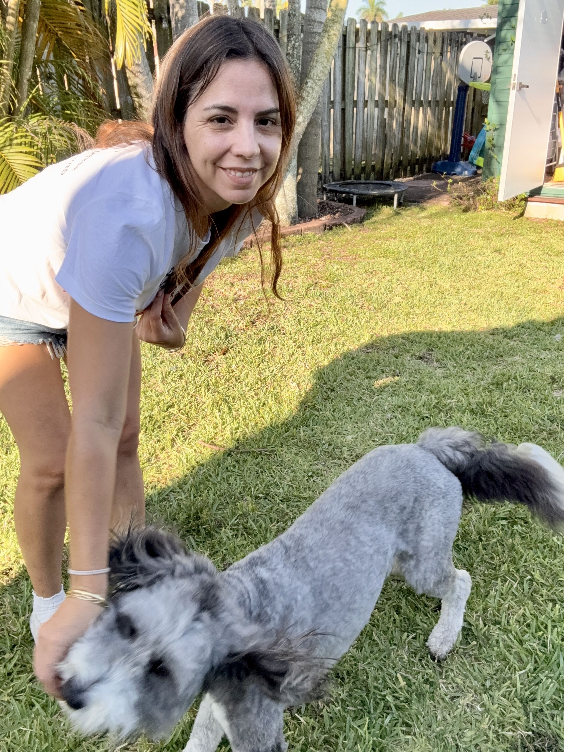 Gi The Dog Sitter gallery photo