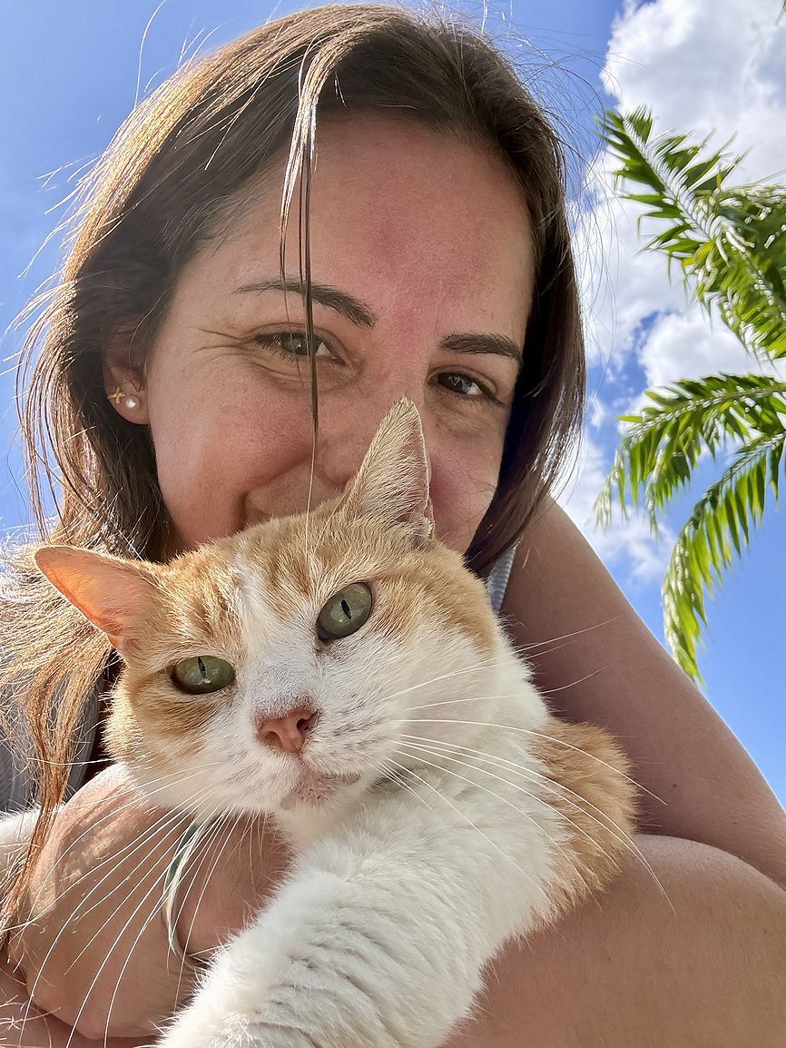 Cat sitting
