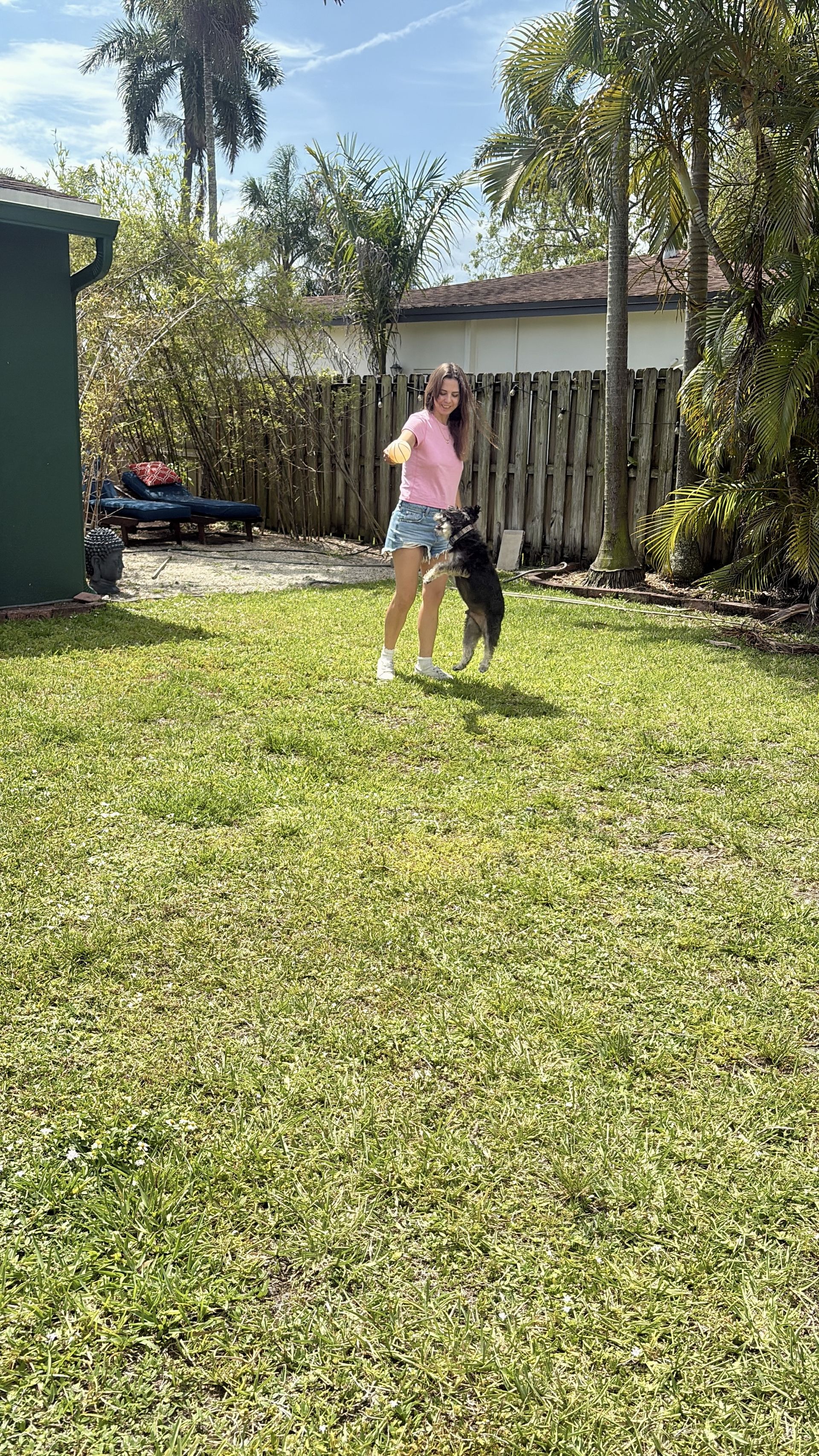 Gi The Dog Sitter | Hollywood, FL